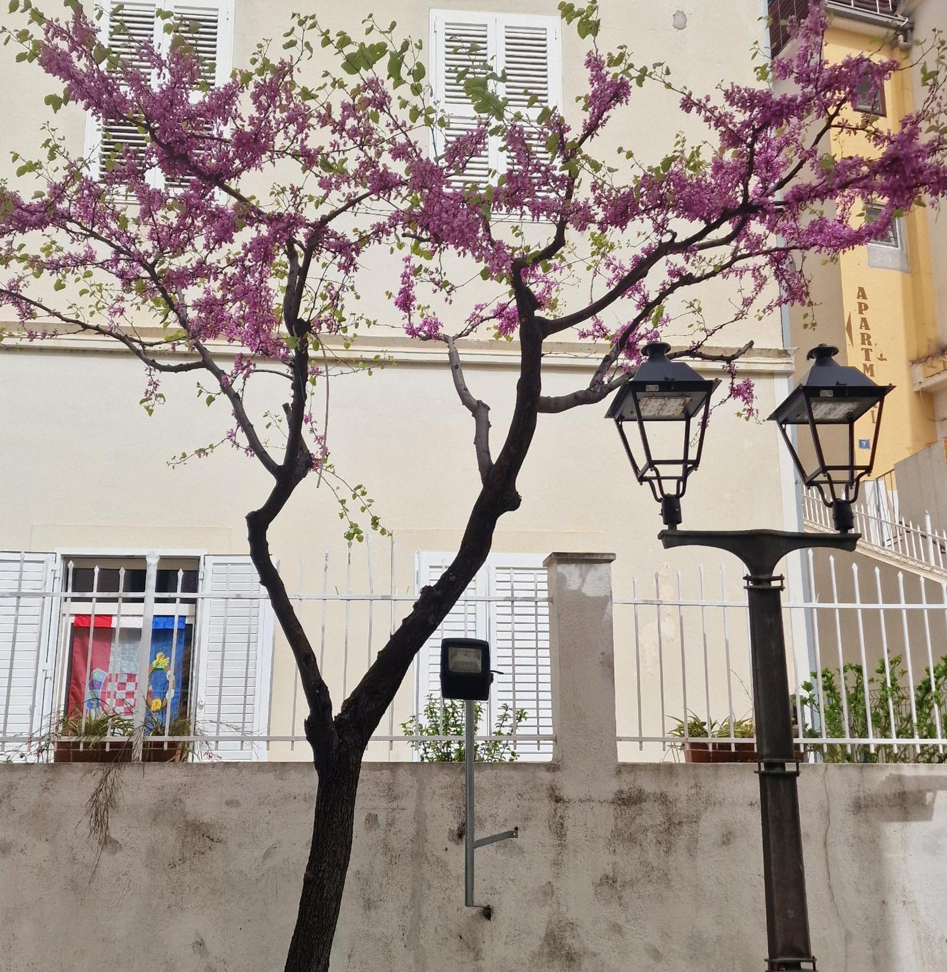 Old Town Apartment Omis Ngoại thất bức ảnh